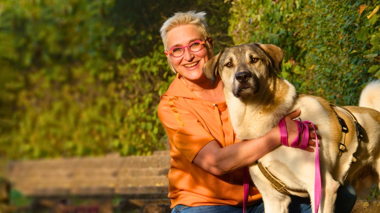 DOG InForm Mirjam Cordt – Hundetraining für mehr Lebensfreude